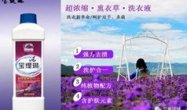 缇宝最新爆料,揭秘娱乐圈惊人内幕