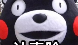 网友爆料道歉狗狗视频,温馨画面感动网友